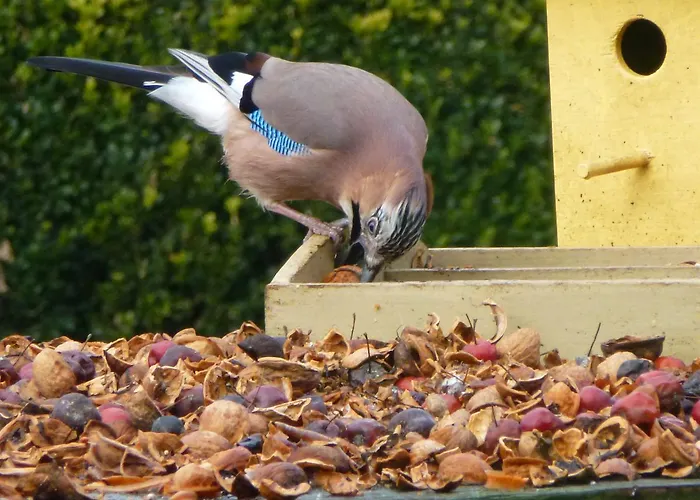 Aan De Burgt Frühstückspension Boekel