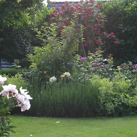 Aan De Burgt Bed & Breakfast *