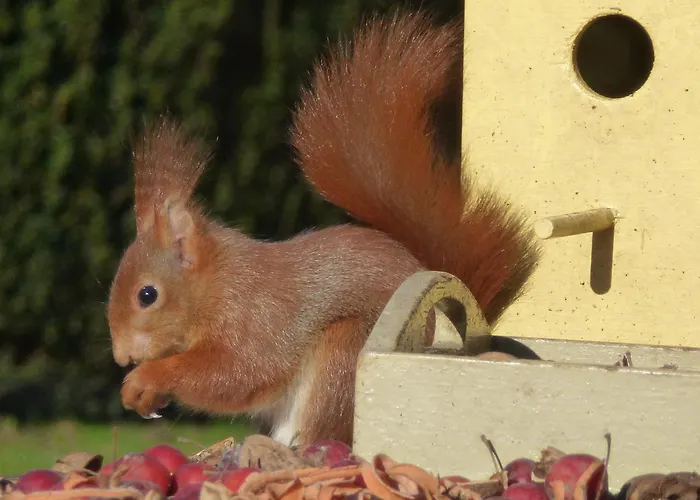 Aan De Burgt Bed & Breakfast